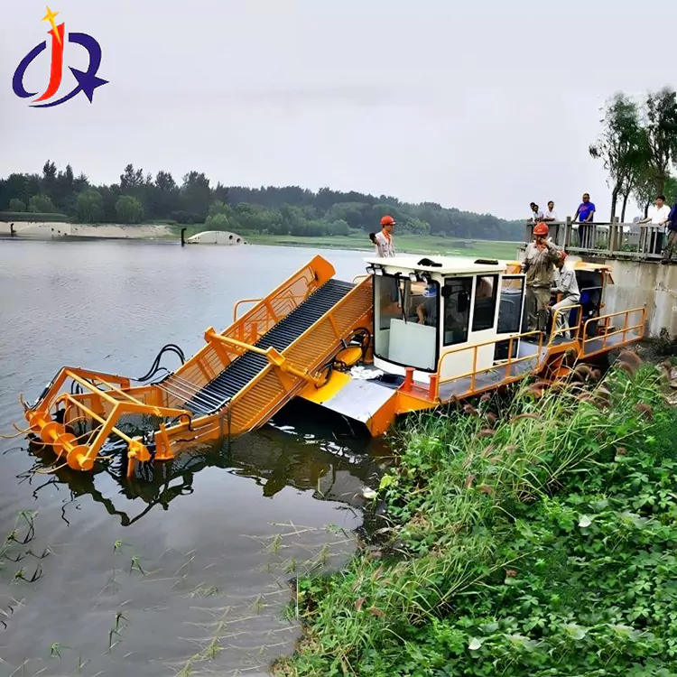 Hijacint i duckweed Cutter Boat